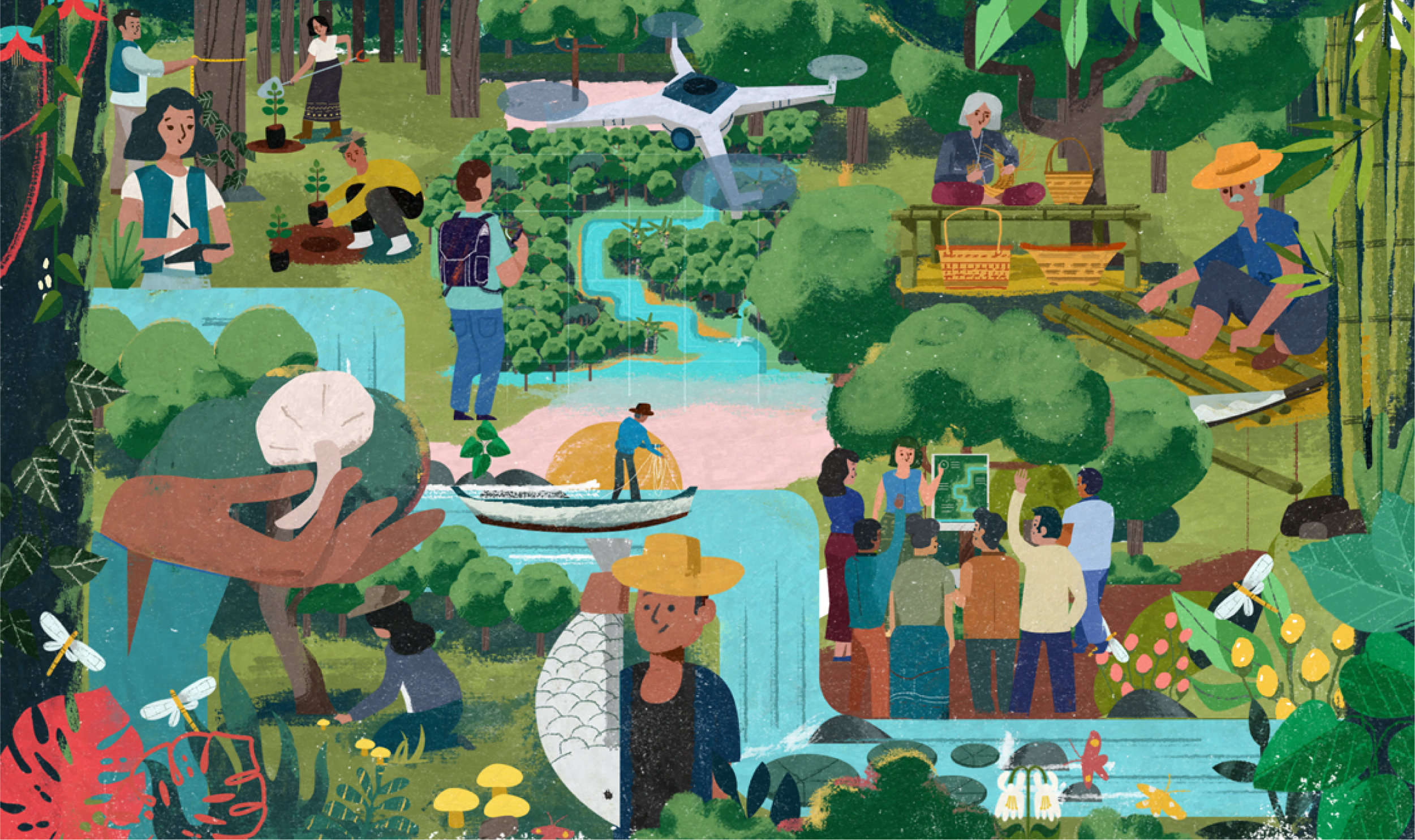 Community Forestry 101 CF 101